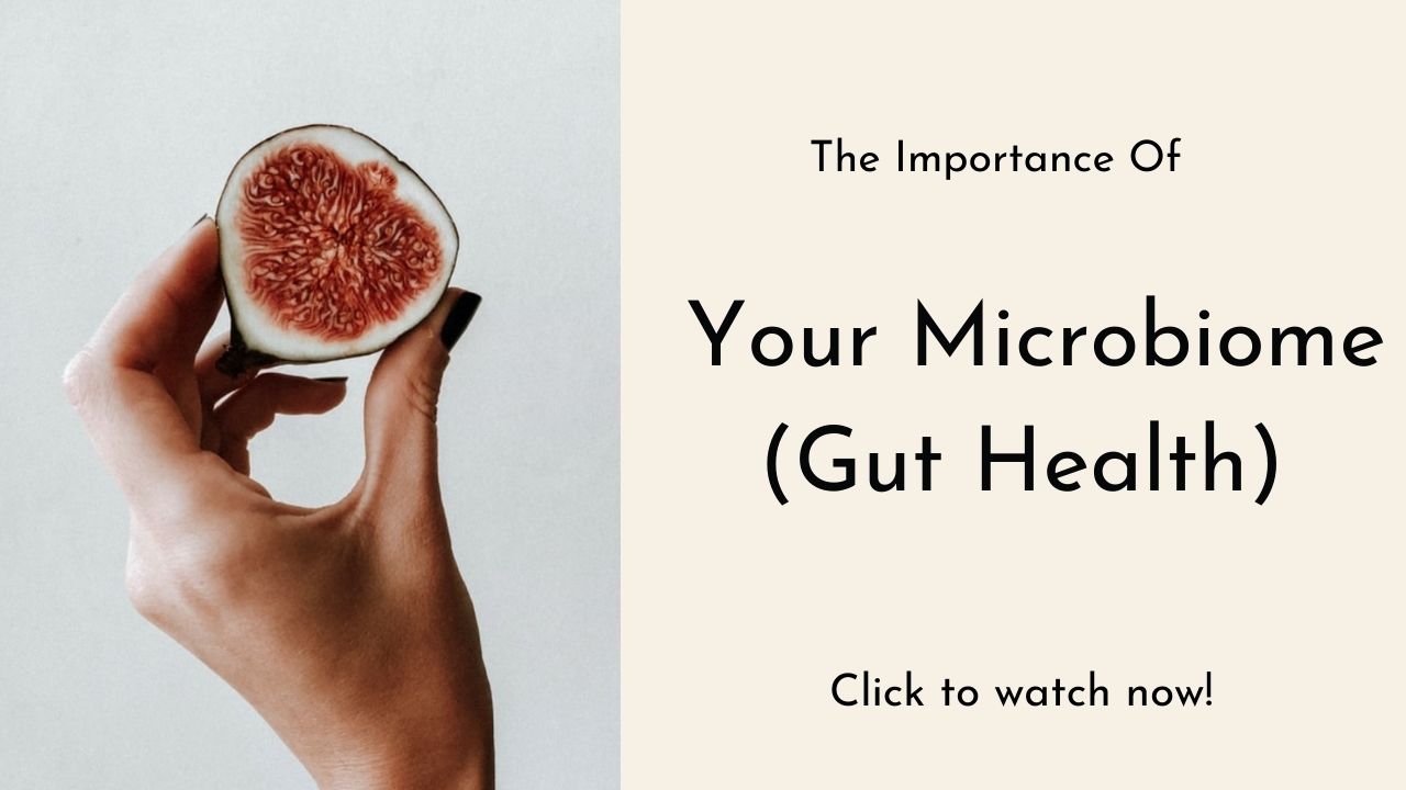 The Microbiome Explained History Research MothersBabies